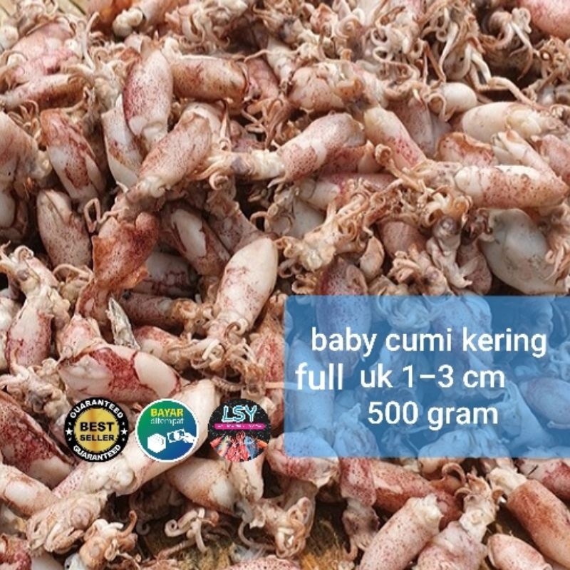

ikan asin baby cumi / cumi rebus kering full 500gram Terlaris