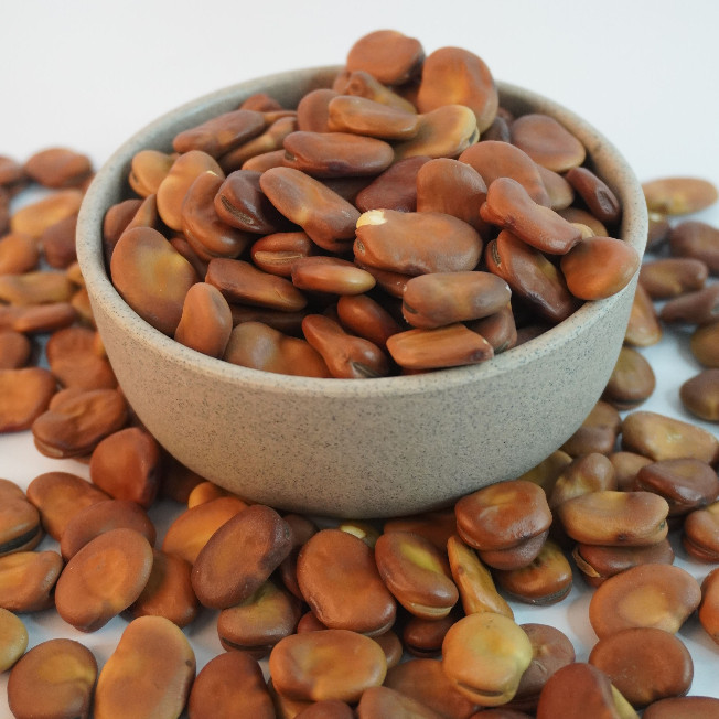 

Kacang Foul / Fava Beans / Kacang Ful Kering | Tinggi Protein & Serat | Bahan Makanan Sehat From Kamal Indo