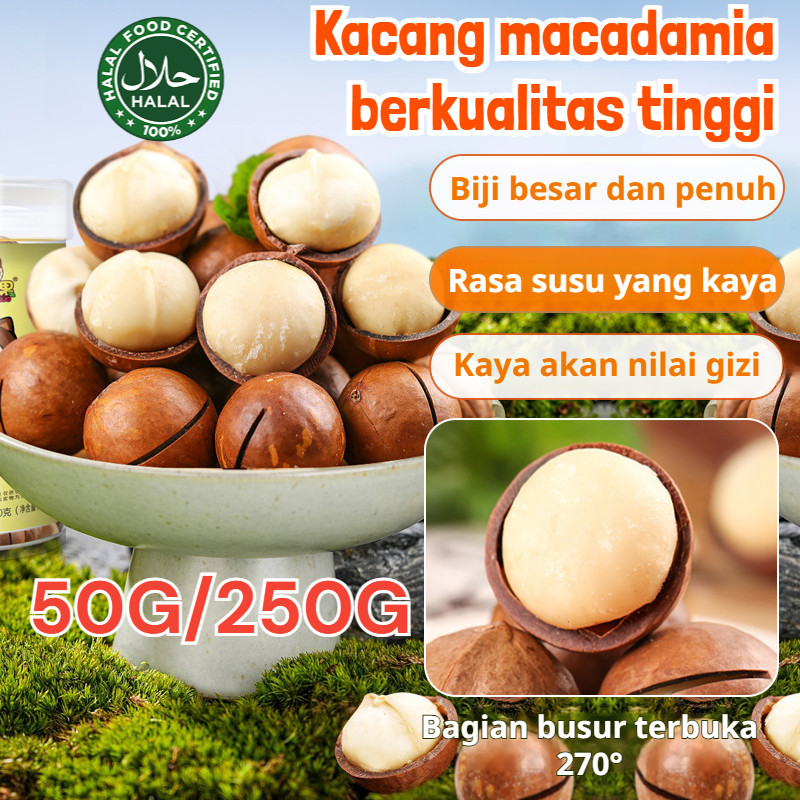 

✨COD/Gratis ongkir✨Kacang Macadamia Berbiji Besar Dengan Rasa Susu/Kaleng Kacang Impor Segar/Grade A Extra Jumbo/byproduct kacang sehat​/Camilan halal rendah gula dan rendah kalori