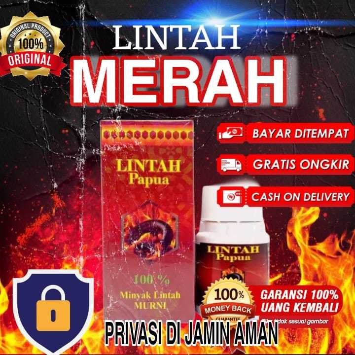 lintah MERAH papua obat trdisional pembesar p3nis dan alat kelamin laki laki dari salep da krim