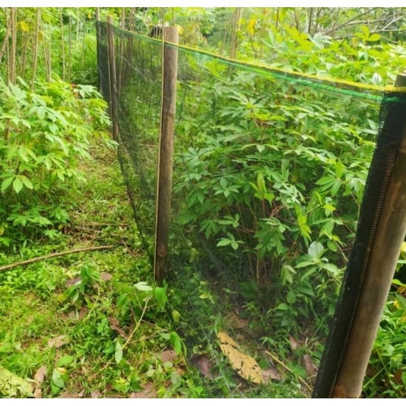 Jaring Waring Hitam Pagar tanaman Pagar ayam 1 rol panjang 100m 90m 80m 50m 25m