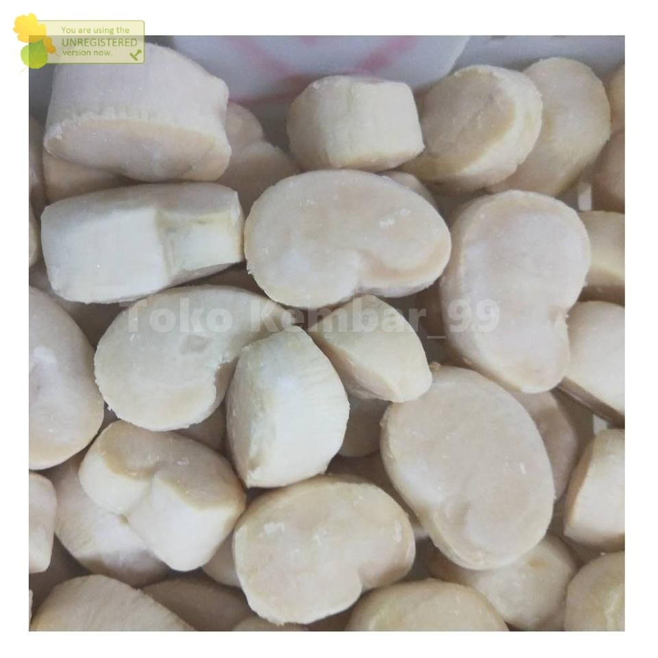 

Kerang Kapak Segar 1Kg Daging Kerang Kapak Scallop Kerang Kapak