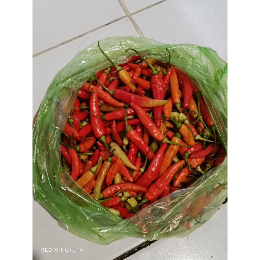 

PROMO CABE KECIL PEDAS CABE RAWIT MERAH 1 KG - instan surabaya