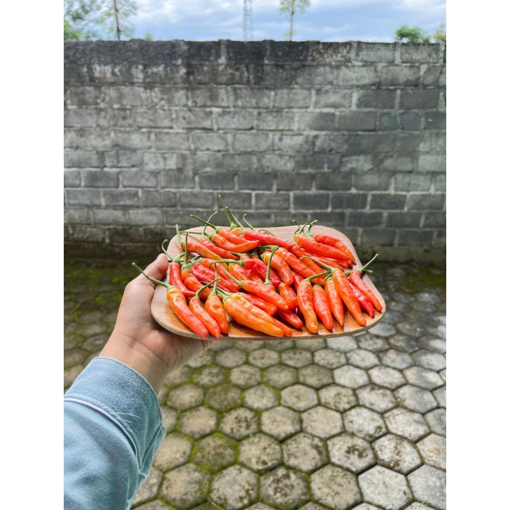 

CABE RAWIT MERAH SUPER 1KG/500GR