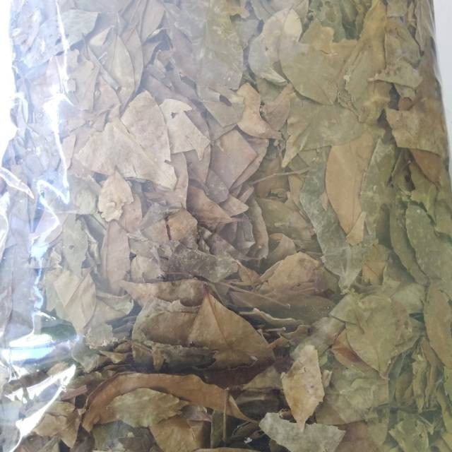 

Daun Kemuning Kering 500gr