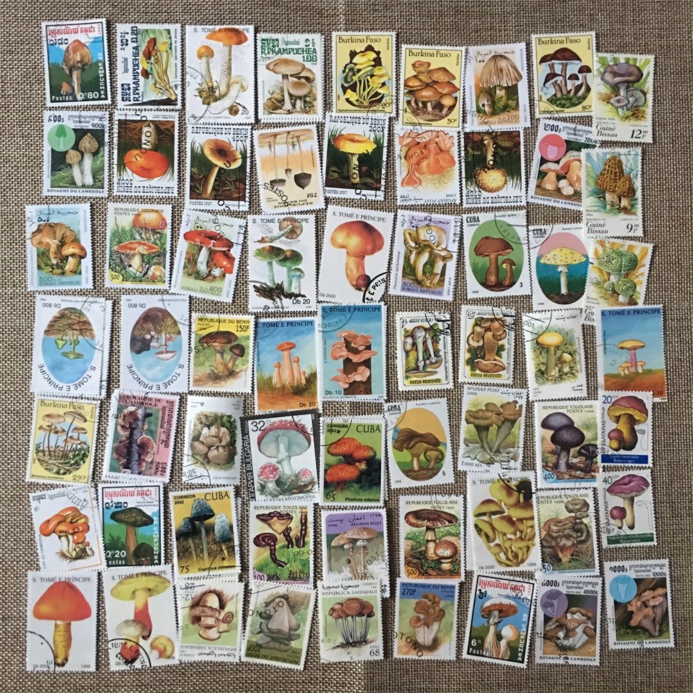 

50Pcs/Set Mushroom All Different From Many Countries NO Repeat with Postmark Postage Stamps for Collecting