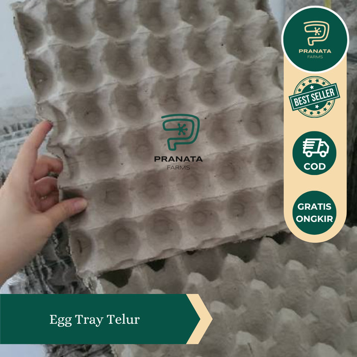 ✨NEW✨ -Tempat / alas / Rak Telor / Tray Telur kertas /Karton 30 lubang Telur