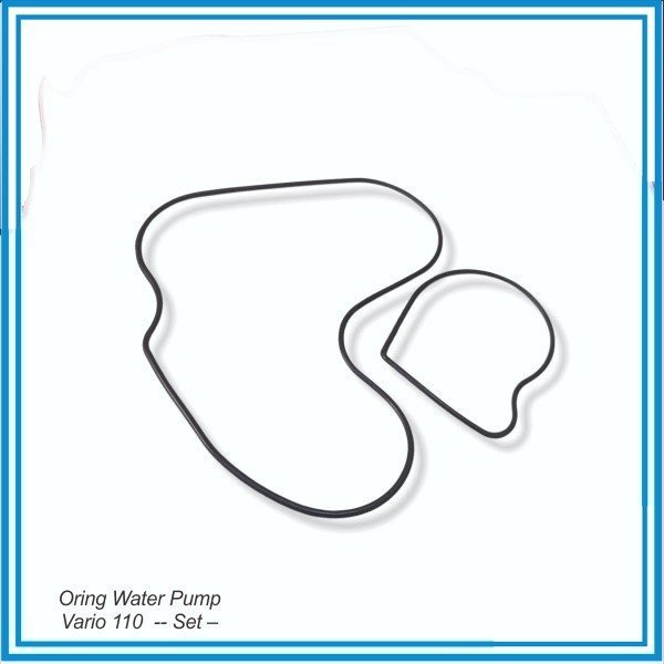 Oring Water Pump Vario 110  -- Set --