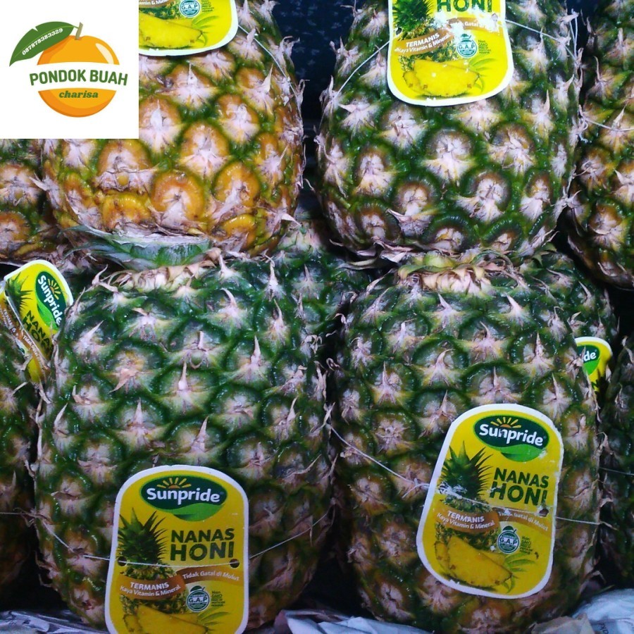 

Sunpride Nanas Honi! Tengkorak Termanis