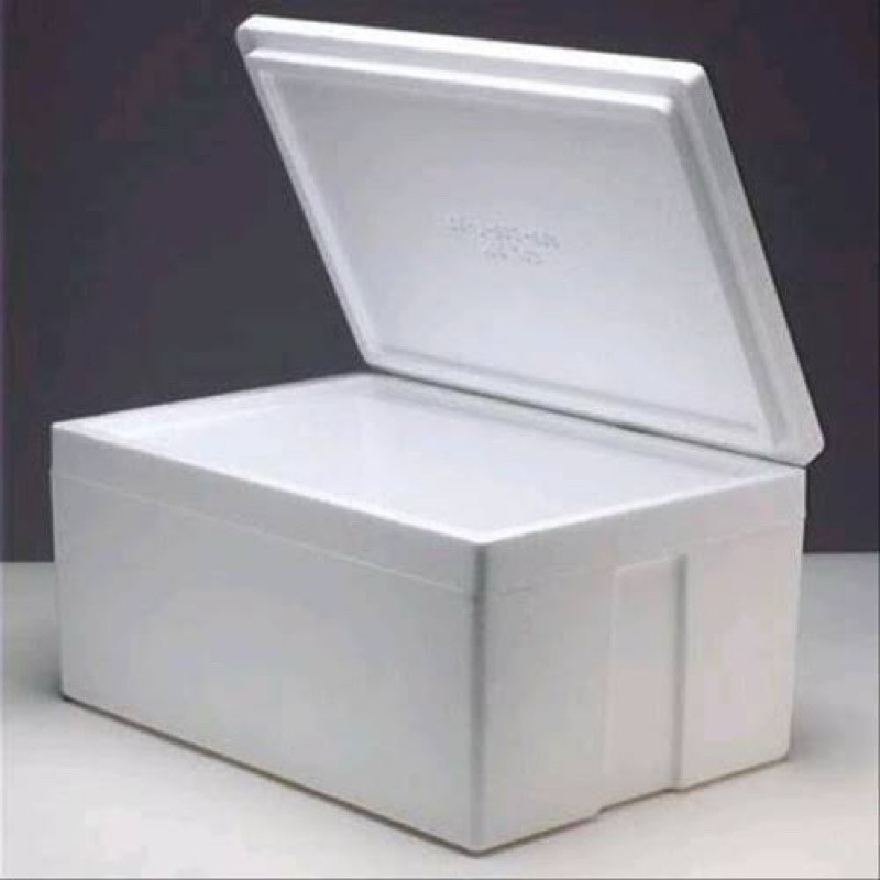 

PACKING STYROFOAM + ICEGEL TAMBAHAN