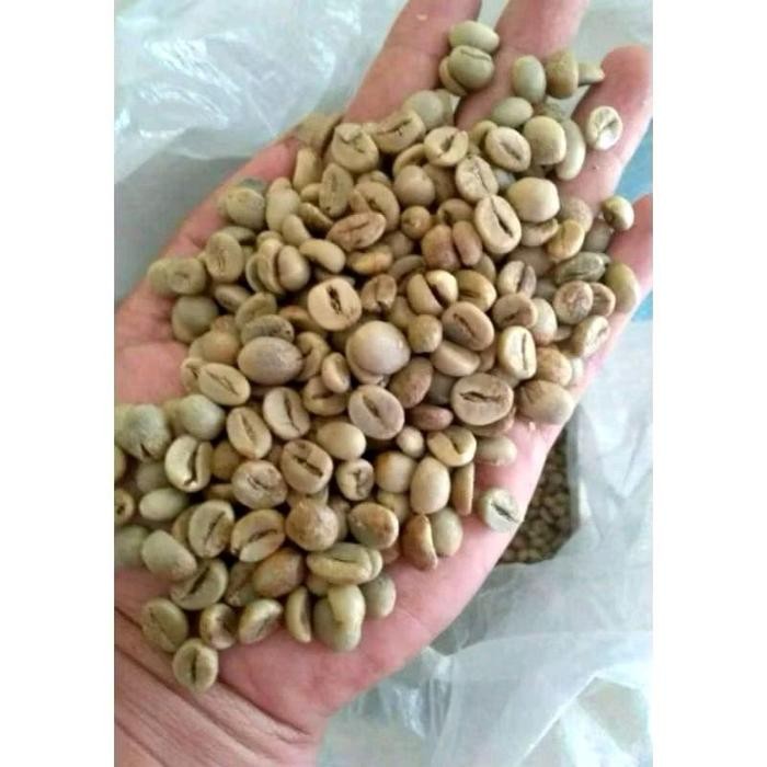 

Benih/biji kopi klon bagio 1000 butir (Kurang lebih)