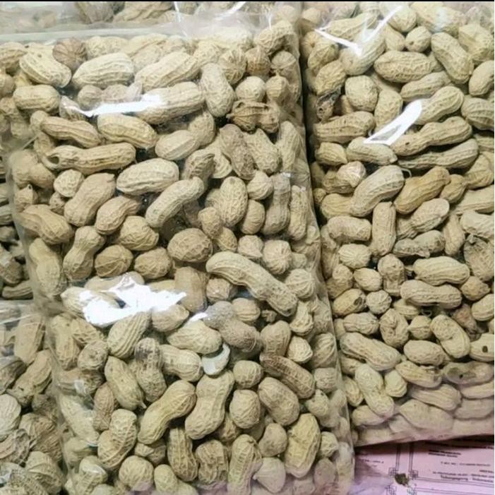

Kacang Kulit Oven Asin 1 KG Seperti Kacang Garuda Berkualitas Cemilan Murah Makanan Tradisional Snack Food Jajanan - 1 KG