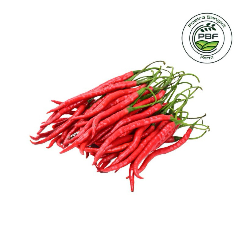 

Paket CABE MERAH KERITING 500gr