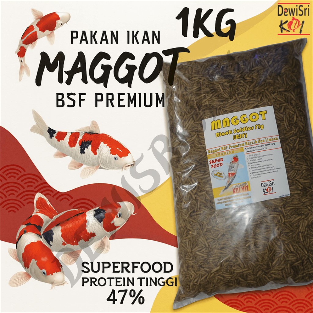 Pakan Ikan Maggot BSF Premium 1kg – Protein Tinggi 47% untuk Koi, Nila & Lele