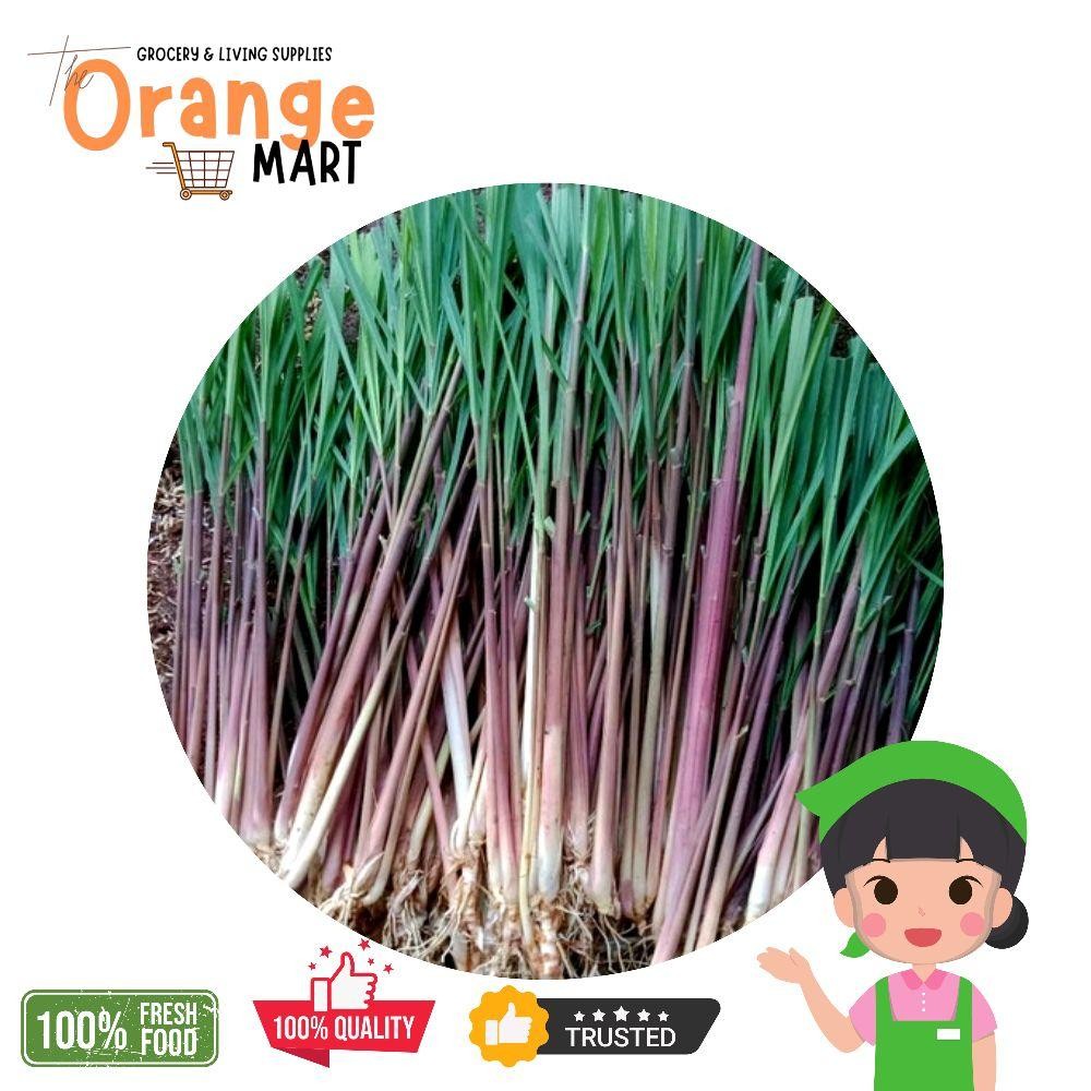 

Sereh Merah Herbal / Sereh Wangi / Sereh Lanang / Sereh Terapi