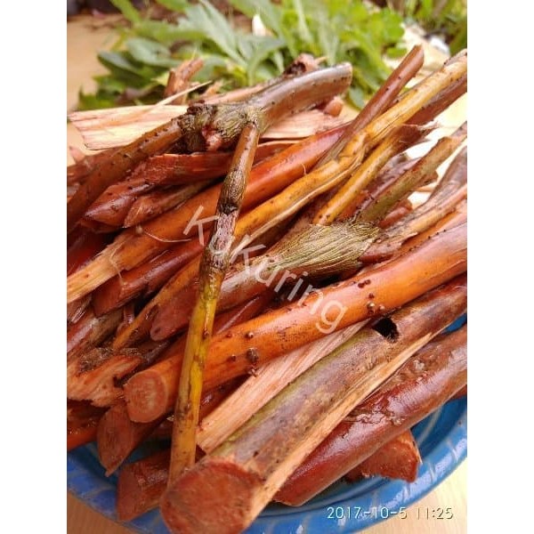 

Akar Pinang Segar 250 gram Fresh