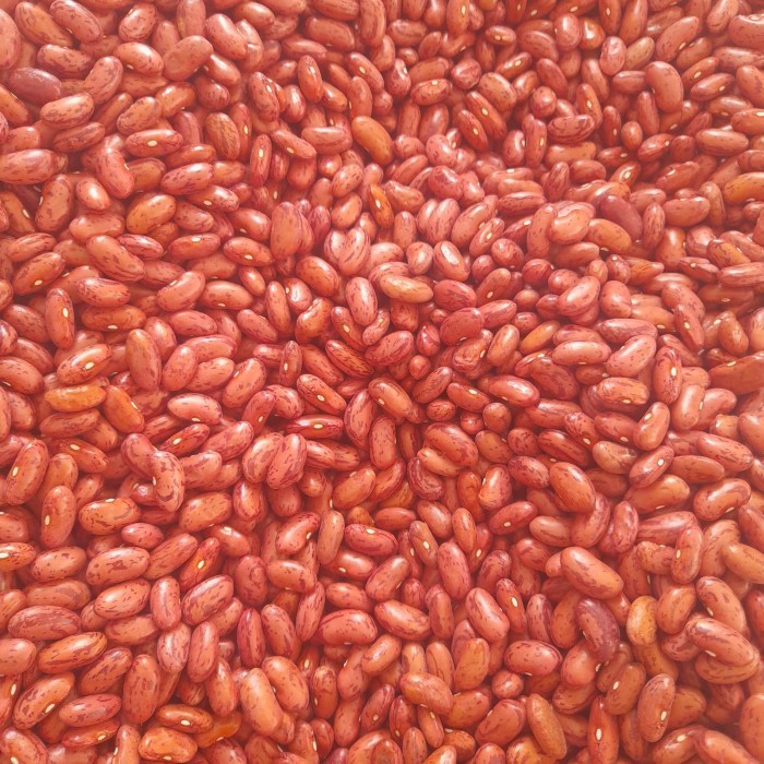 

Kacang Merah Mentah Kering - Kacang Jogo - Kacang Es 1 kg