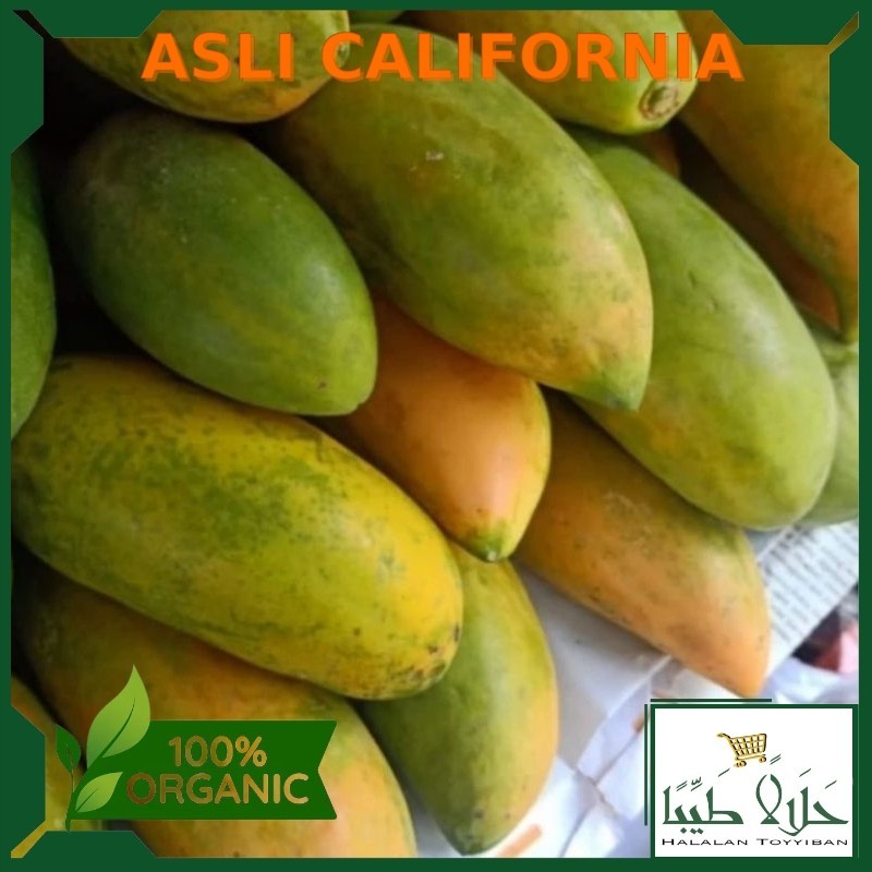 

Termurah Pepaya California Fresh