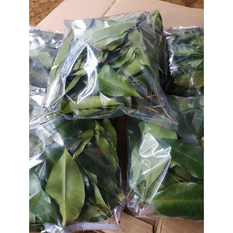 

promoDAUN CENGKEH SEGAR 250 GRAM