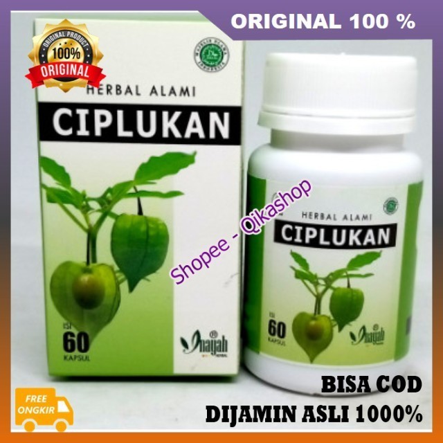 Kapsul Ciplukan Extrak Ciplukan 60 kapsul.ORIGINAL