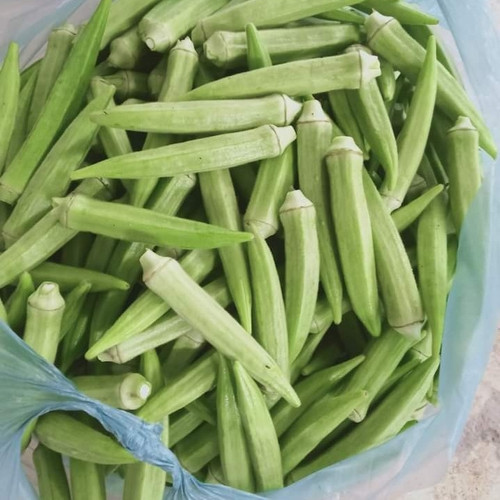 

Sayur okra Hijau Segar 1kg