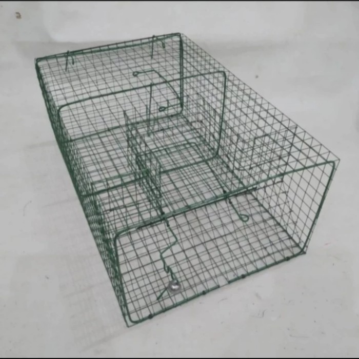Perangkap Tikus Kawat Masal / Jebakan Tikus Masal / Jebakan Perangkap Tikus Kawat Manual