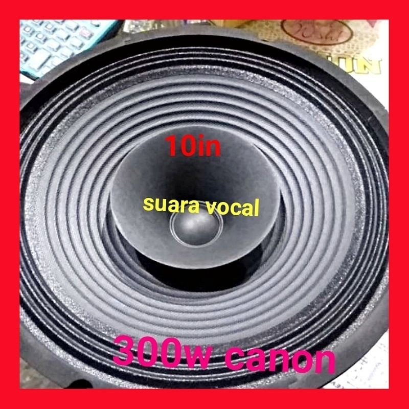 AS45RT SPEKER CANON 10 in RANGE/CORONG "