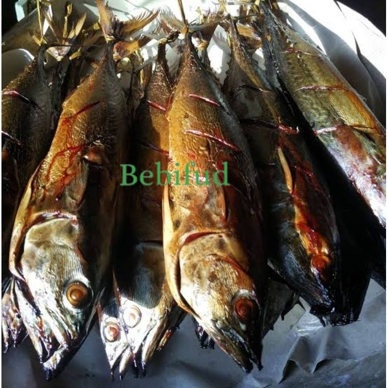 

IKAN ASAP 1 EKOR BEST SELLER