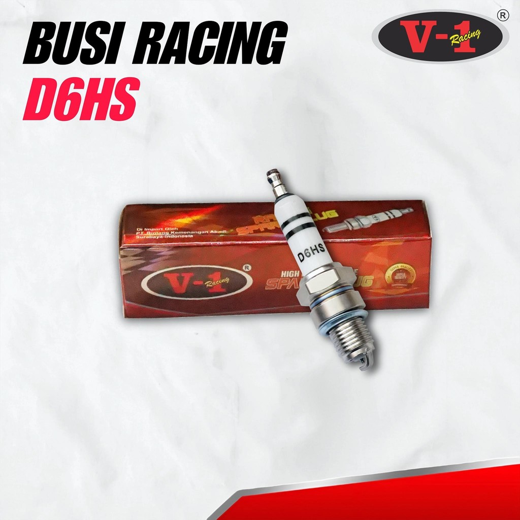 V-1 RACING BUSI RACING D6HS