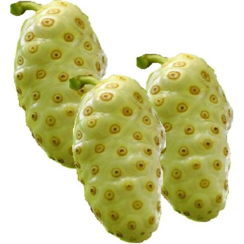 

MC-19 BUAH MENGKUDU SEGAR / CANGKUDU SEGAR 500 Gram