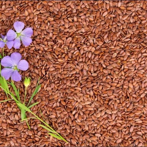 

organik brown flaxseed 1kg/ biji rami