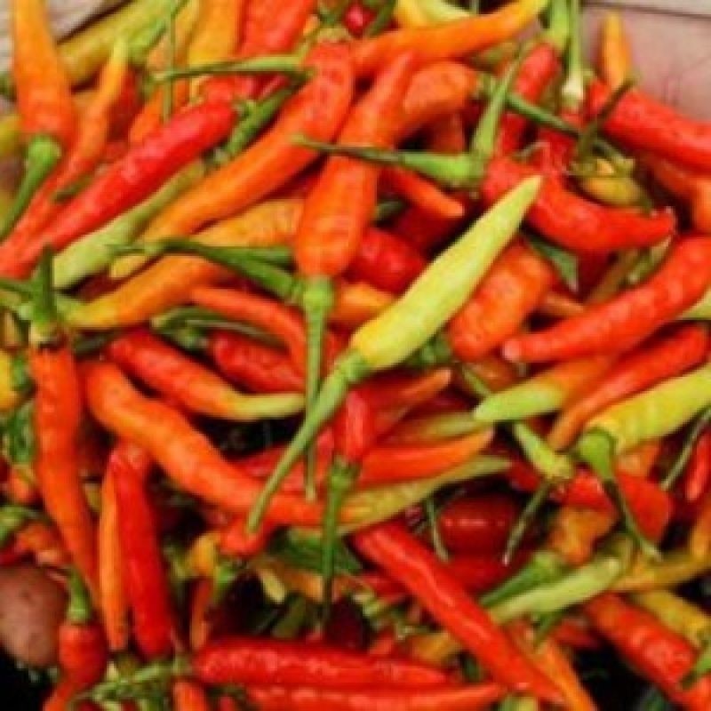 

Paket Cabai Rawit Merah Fresh 1 kg