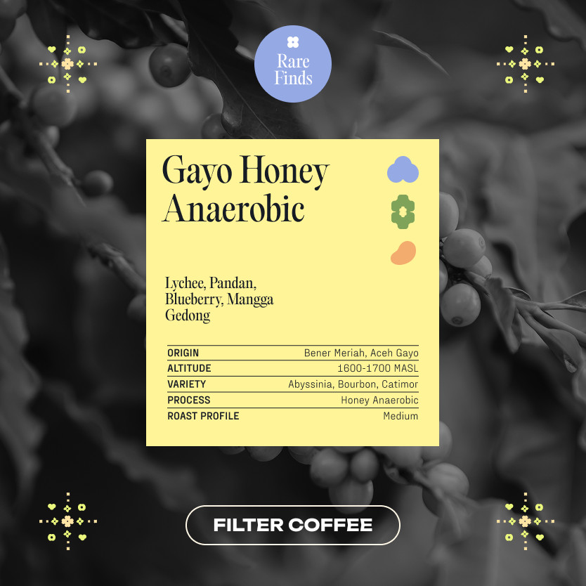 

KORO ROASTERS Gayo Anaerobic Honey Biji Kopi Manis - Single Origin Specialty Coffee