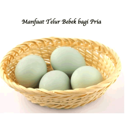 

Telur Bebek Mentah Tawar Segar – 10 Butir