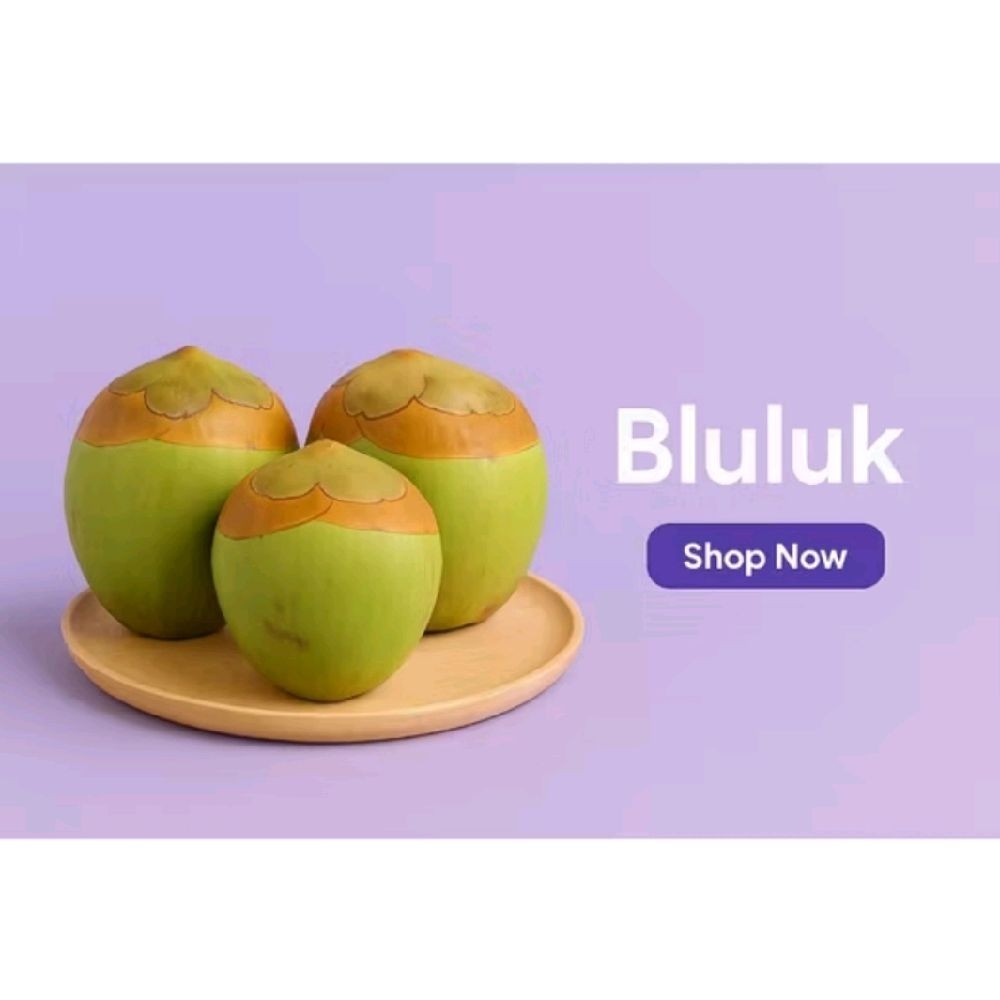 

bluluk kelapa kecil herbal tembuluk kelapa