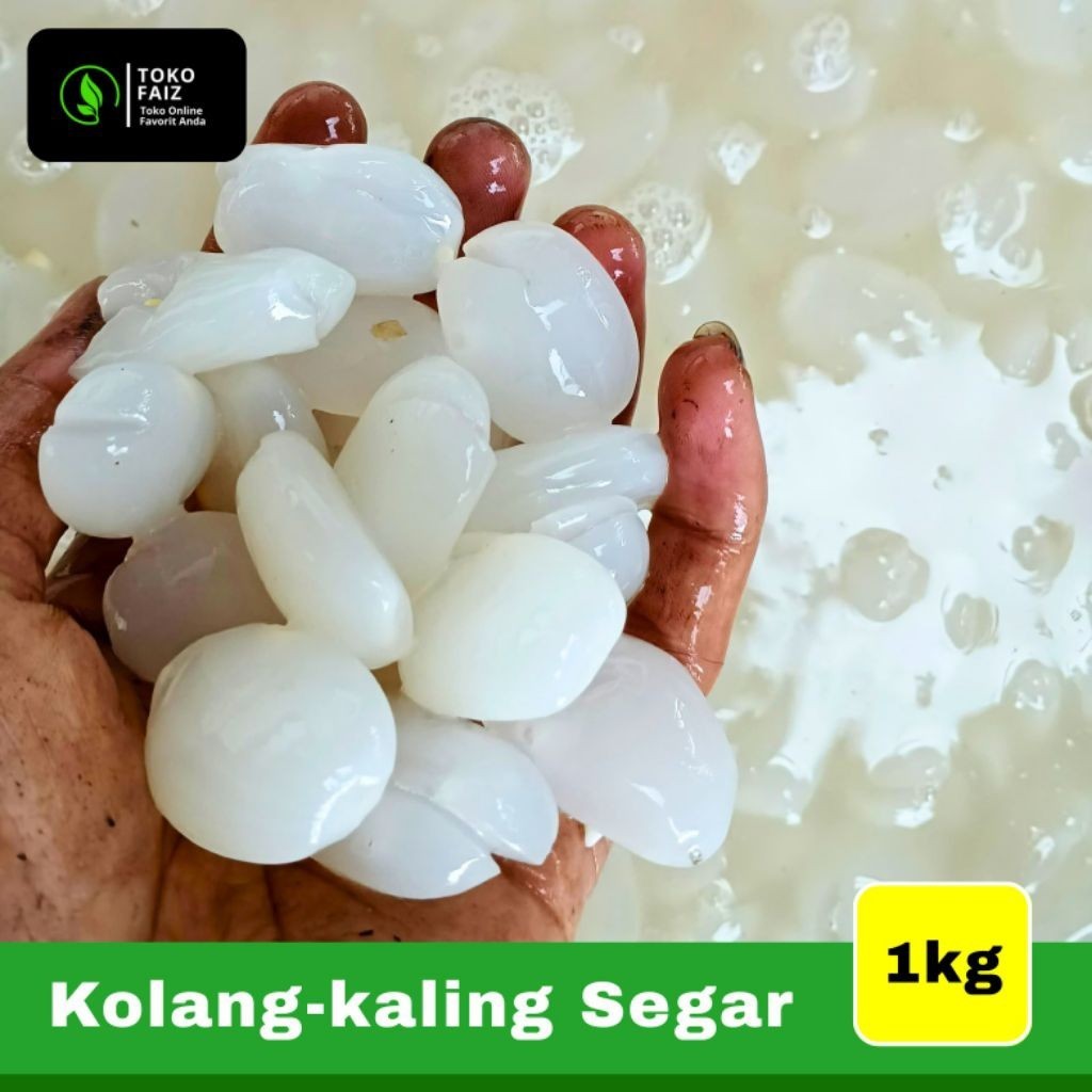 

kolang Kaling super pilihan (1kg)