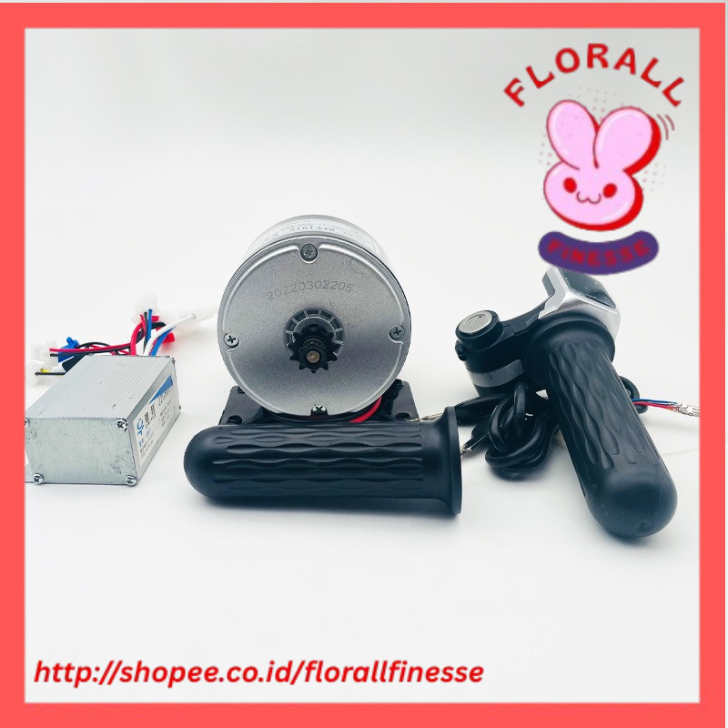 24V 250W DC Motor Permanent Magnet Generator Micro Brushed Motor Brushed High Permanent Magnet 2650R