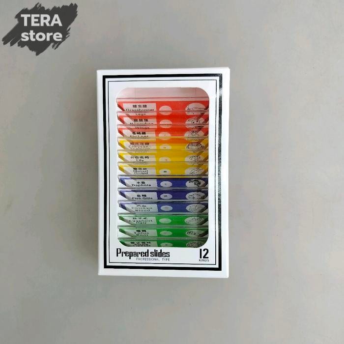 

prepared slides isi 12 preparat biologi untuk mikroskop anak