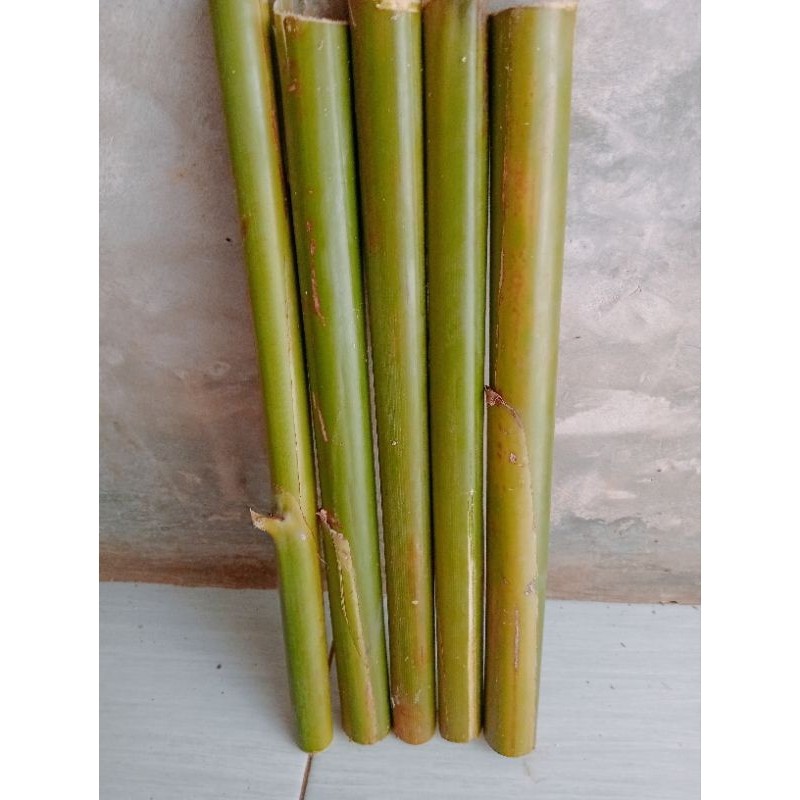 

pohon combrang / batang honje segar 1 kg