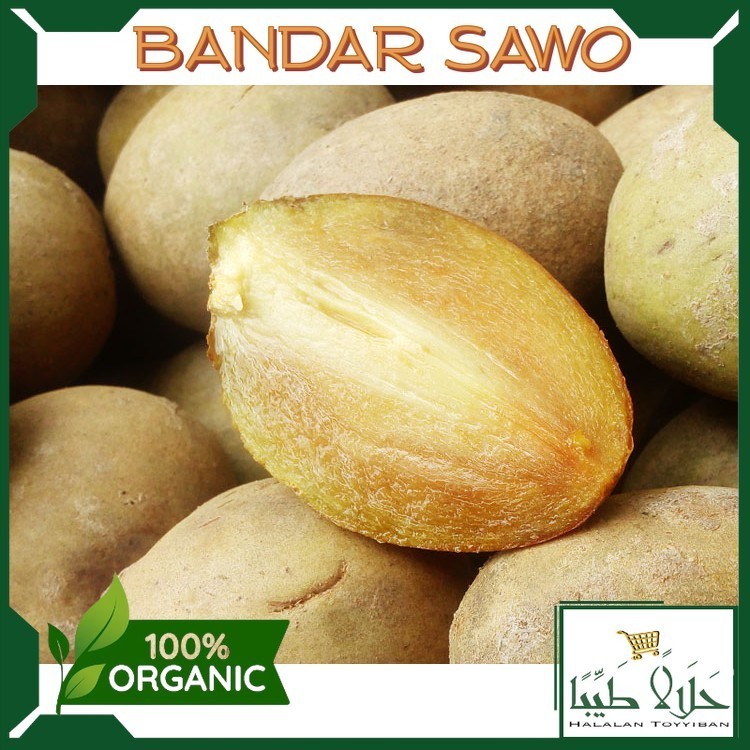

BANDAR Buah Sawo Madu Segar