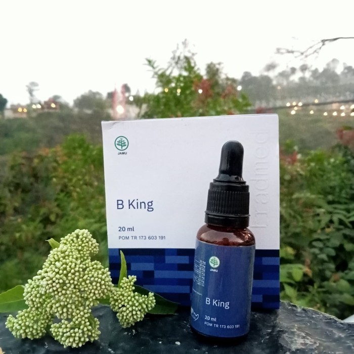 BKing Suplemen Herbal B King Nutrisi Optimalkan Tumbuh Kembang Anak