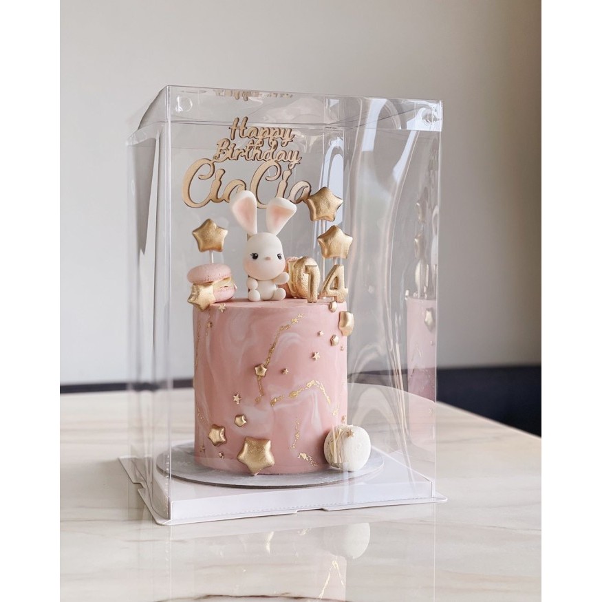 

Cake Box Mika - 26x26x24