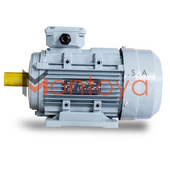 Dinamo Montoya 2 HP 1 Phase / Dinamo Motor Penggerak