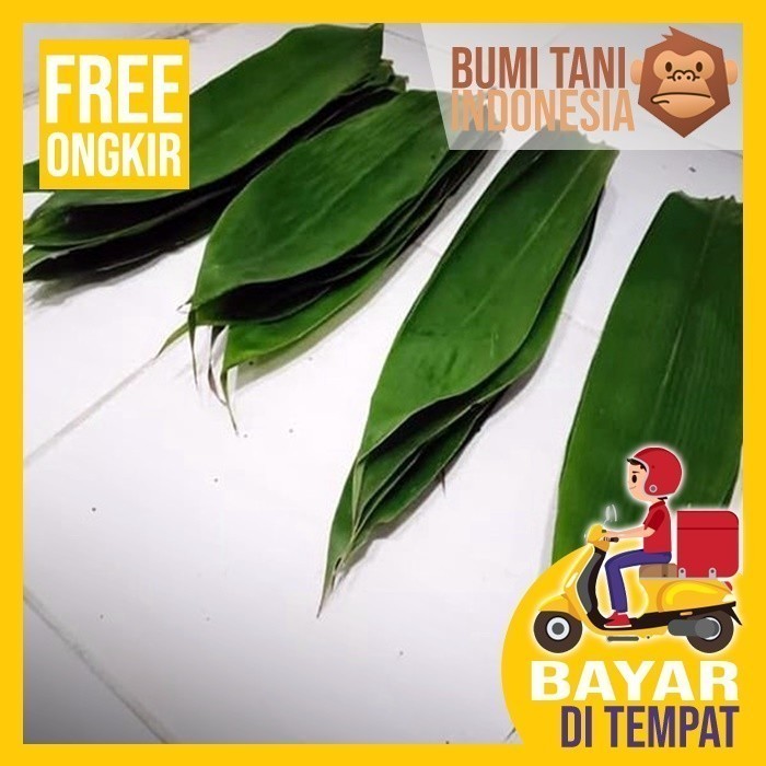 

daun bambu segar daun bakcang besar/sedang/kecil