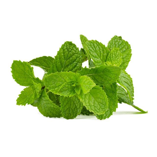 

Daun Mint - Bakoel Sayur Online