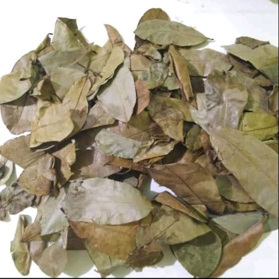 

Daun Sirsak Asli Kering Organik 250 Gram Murni Daun