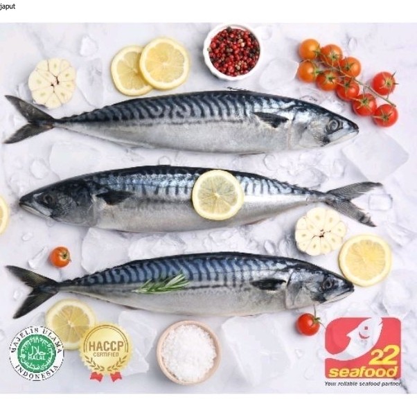 

Ikan Salem 1kg / Ikan Salem Mackerel