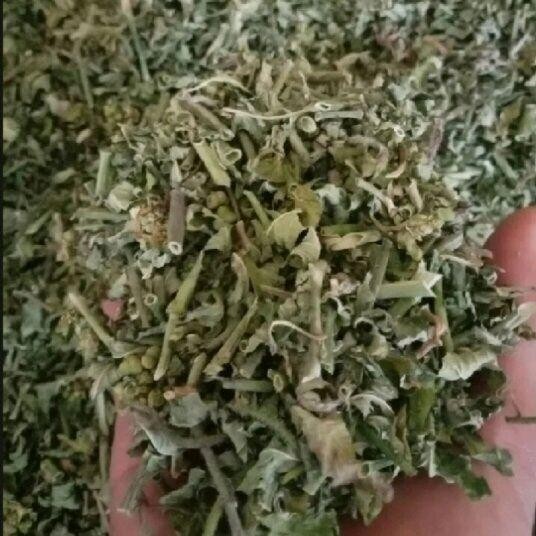 

Daun Sidaguri Kering Asli untuk Herbal Alami 100 Gram