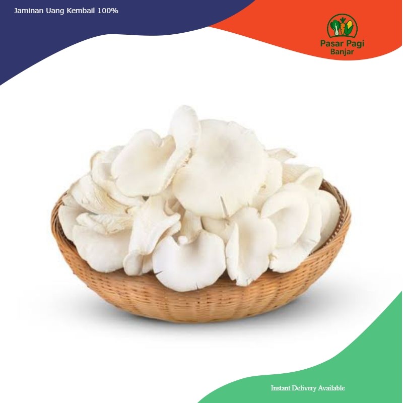 

Jamur Tiram Segar