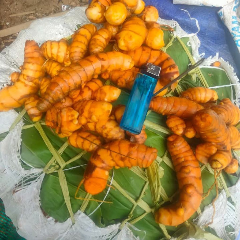 

kunyit jumbo cucian bersih 1kg termurah